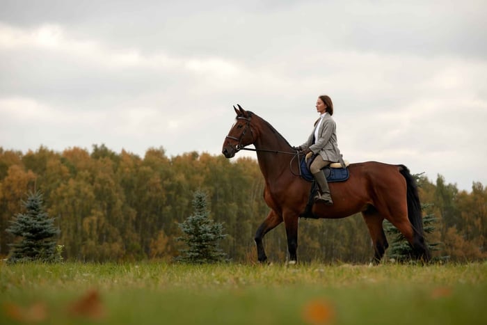 Private Horse Ride, Massage, Reiki With lunch Picnic