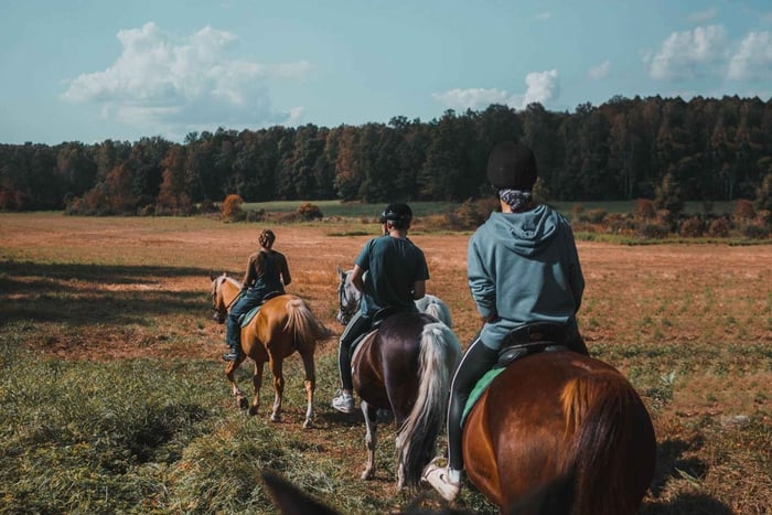 Romantic Ibiza Sunset Horseback Ride & Picnic