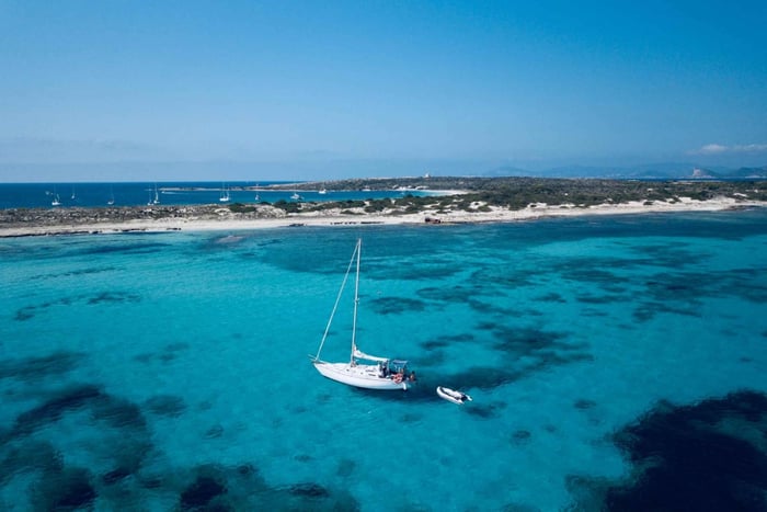 Von Ibiza aus: Segeltour nach Formentera mit Strandstopps