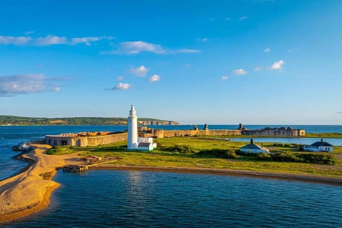 New Forest: E-Bike Safari, River Cruise & Tudor Castle Entry
