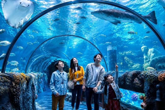 Aquarium Tour with Hotel Transfer