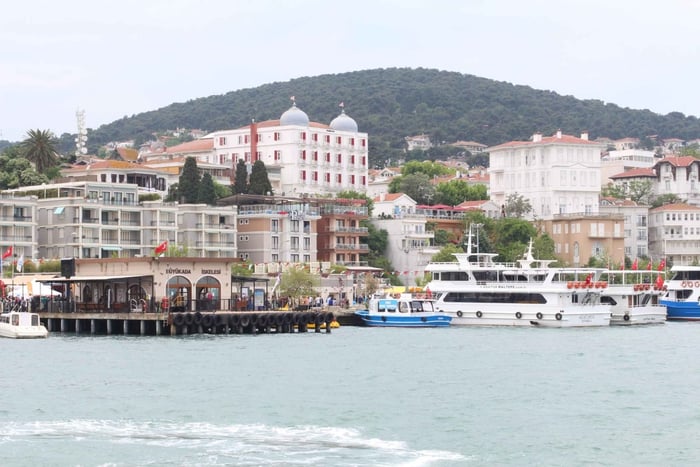 Excursión diaria a las Islas Príncipe desde Estambul