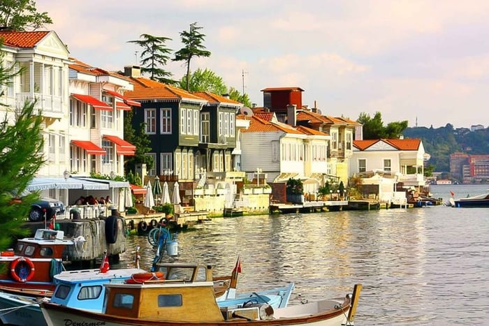 Från Istanbul: Dagsutflykt till Princes Island med lunch