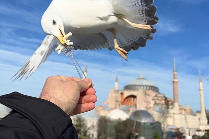 Istambul: O melhor da cidade - excursão de 1 dia com transporte