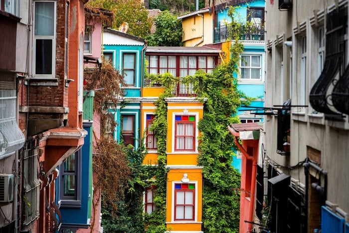 Estambul: Colorido tour a pie por Fener y Balat con guía experto