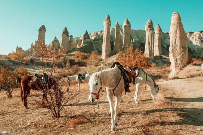 Istanbul - Kappadokien All Inclusive Private Day Tour