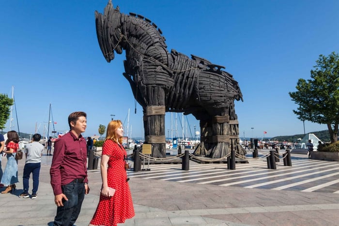 Istanbul: Troy Guided Bus Tour with Ferry Tickets & Lunch