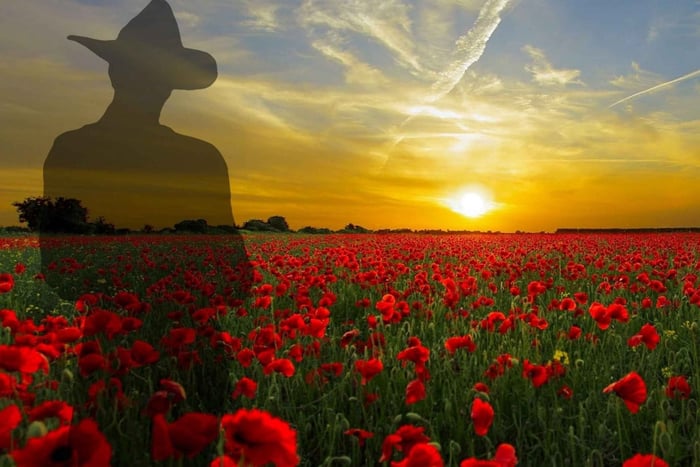 Heldagstur til Gallipoli fra Istanbul