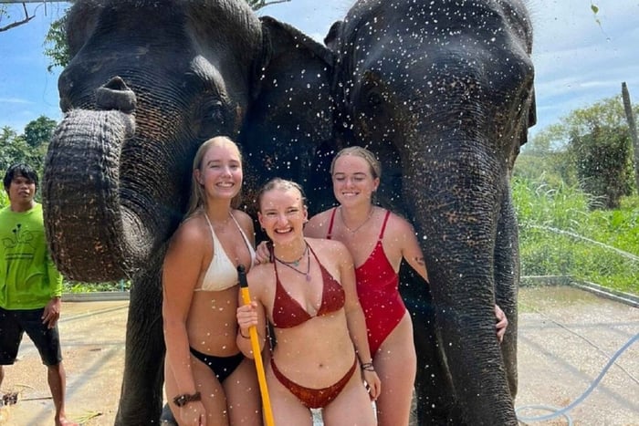 Elephant Sanctuary Experience with Transfer