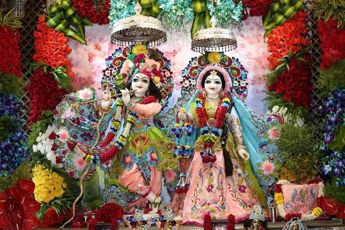 Da Delhi: tour privato di 1 giorno a Mathura e Vrindavan in auto