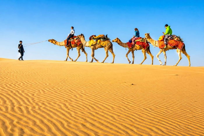 Monipäiväinen matka Jaipuriin, Jodhpuriin tai Jaisalmeriin ja safari