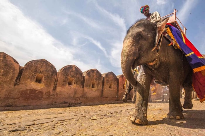 Från Delhi: Privat stadsrundtur i Jaipur samma dag – allt inkluderat