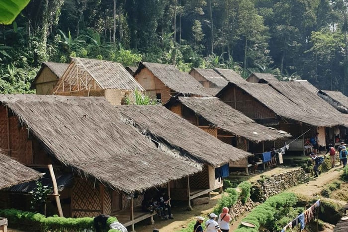 Giacarta: gita di 1 giorno alla tribù Baduy con pranzo tradizionale