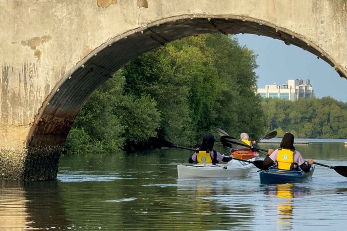 Experiencia en canoa por los manglares de Yakarta