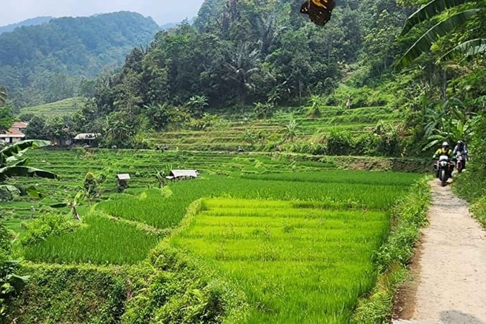 Guided Motorcycle Tour with Lunch and Coffee