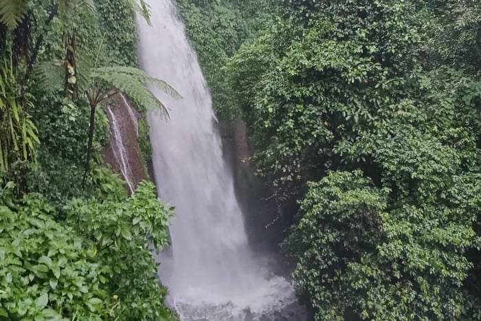 Jakarta Bogor Botanical Garden, Waterfall and Rice Terrace