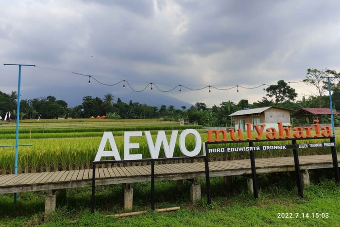 Jakarta : Botanical Garden, Waterfalls, and Rice Fields Tour