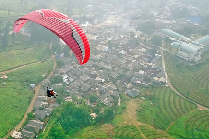 Jakarta: Parapendio sulla Top Mountain e piantagione di tè