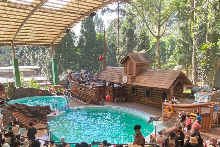 Jacarta : Show no Safari Park, plantação de chá e cachoeira