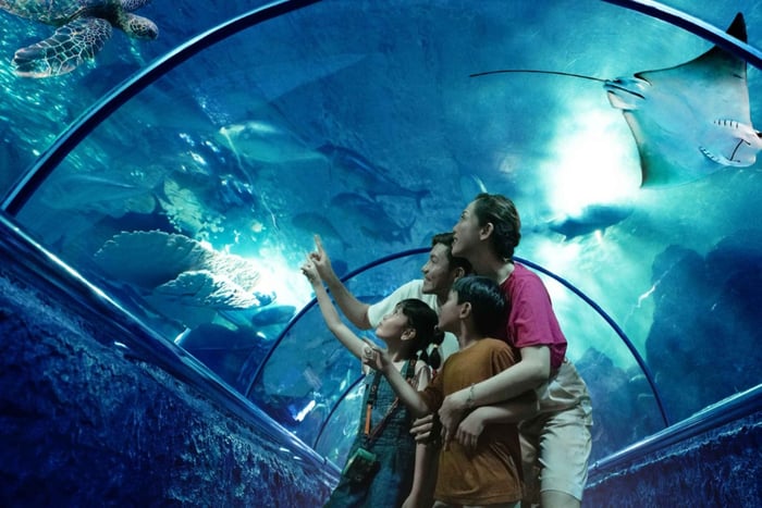 Джакарта: входной билет в Sea World Ancol