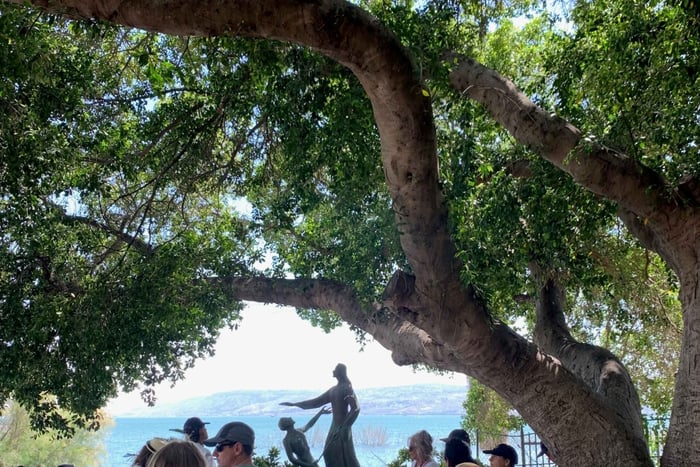 Haifa Port: Full-Day Christianity Tour to Galilee