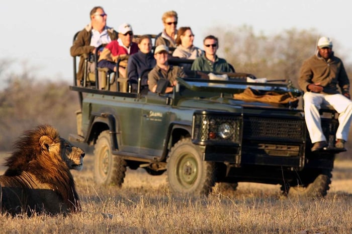 Joanesburgo: Safári no Parque Nacional Kruger do Sul 2 Dias
