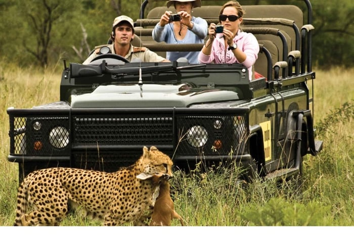 Joanesburgo: Safári de 4 Dias no Parque Nacional Kruger com os Big Five e Passeio Panorâmico