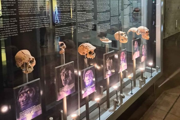 Joanesburgo: Excursão ao Berço da Humanidade e Descoberta de Fósseis