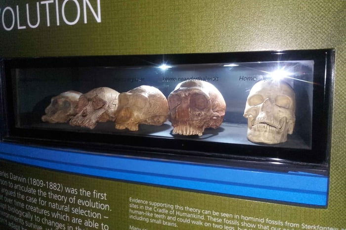 tour guidato della Culla dell'Umanità con prelievo