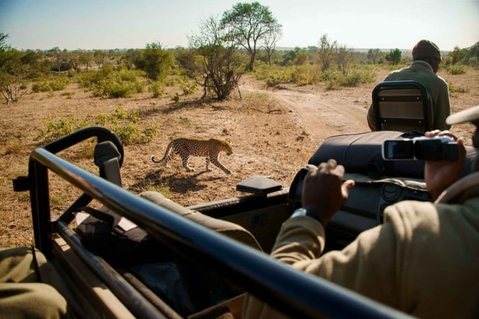 Dinokeng Safari with Transfer