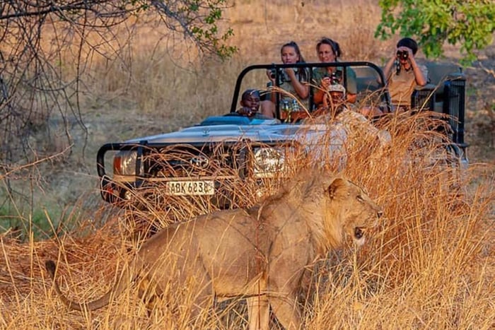 De Joanesburgo: Safári de Vida Selvagem Pilanesberg de 2 Dias