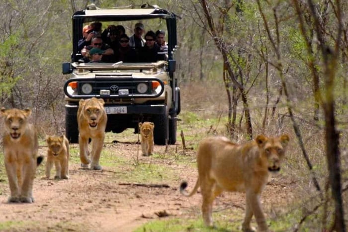 Vanuit 2-daagse safari in wildreservaat Zulu Waters