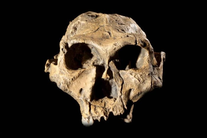 Fra Tur til Cradle of Humankind og Wonder Cave