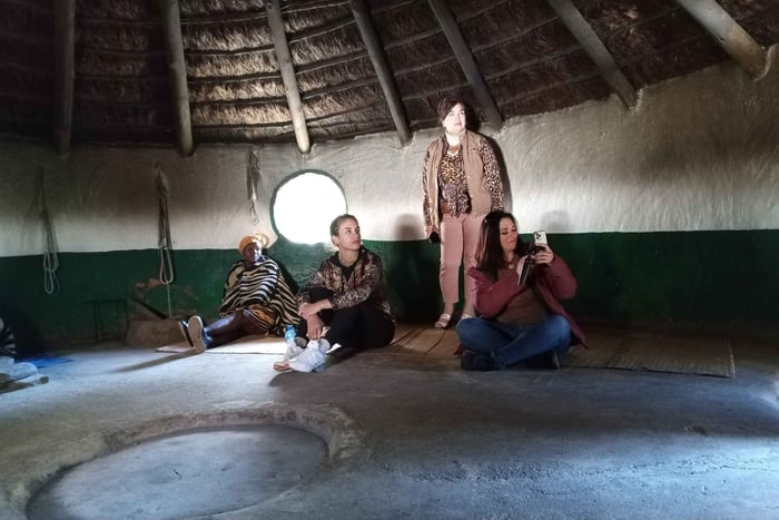 From Johannesburg: Lesedi Cultural Village & Lion Park Tour