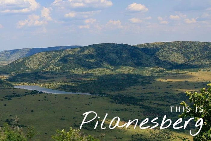 Joanesburgo: Safári em Pilanesberg e Excursão a Soweto com Hotel