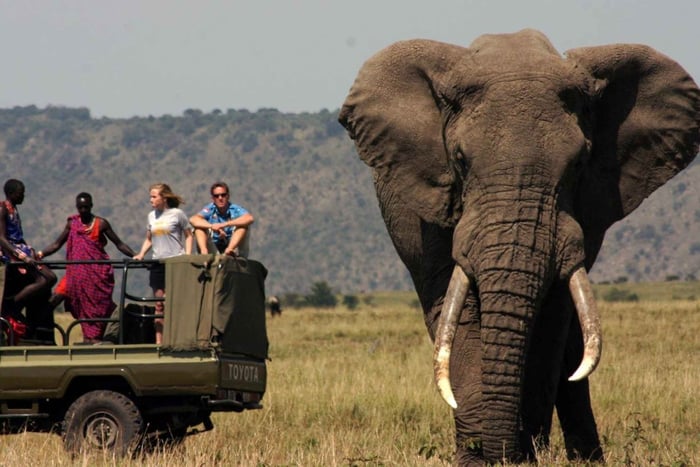 Johannesburgo: Safari de 3 días por el Parque Nacional Kruger con alojamiento
