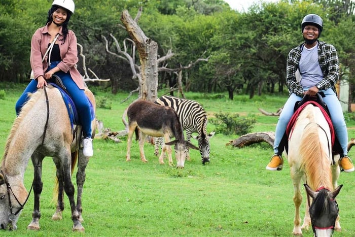 Magaliesberg-safari på hesterygg i villmarken fra Johannesburg