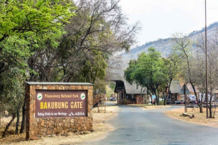 Joanesburgo: Safári Big Five em Pilanesberg