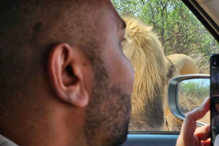 Tour safari privato: Parco Nazionale di Pilansberg Big 5