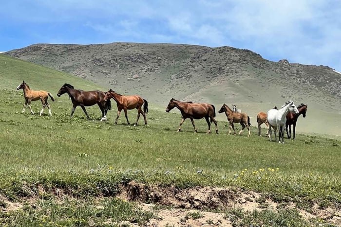Desde Almaty: tour de 1 día a la cascada del Oso y la meseta de Assy