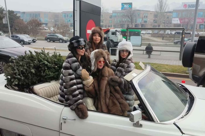 Almaty: tour vintage privato in Cadillac del 1973