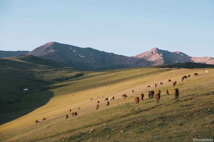 Kazachstan: Assy-plateau en Berenwaterval