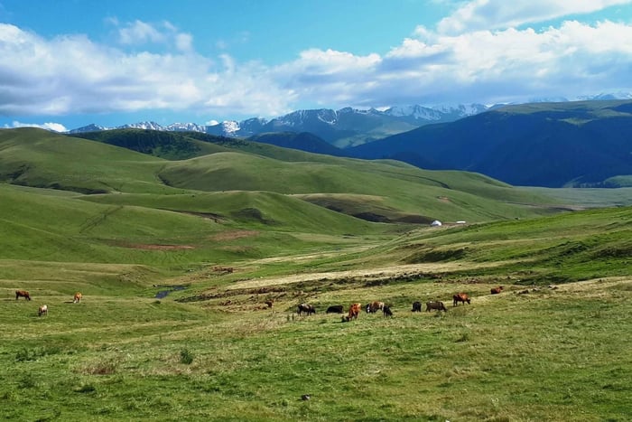 Assy Plateau Jeep Tour