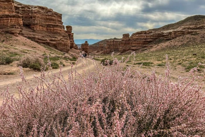 Von Almaty aus: Ganztägige Tagestour zum Charyn-Canyon mit Lunchpaket