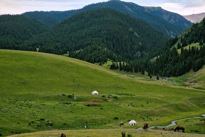 Tour fuoristrada in jeep: alla scoperta dell'altopiano di Assy e del lago Issyk