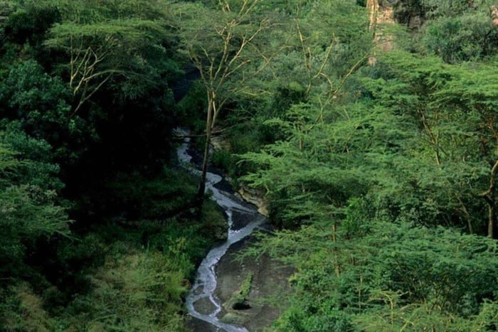 Excursão de Bicicleta de 1 Dia a Hell’s Gate e ao Lago Naivasha