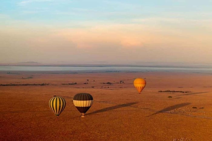 1 Day Masai Mara Game Drive