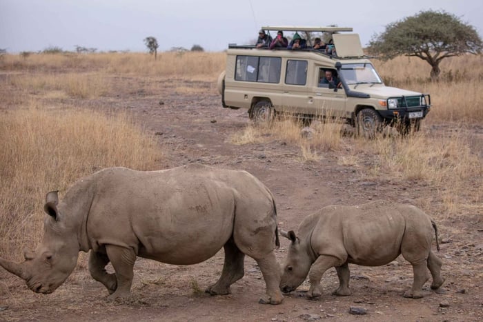 3-Days Nairobi Lake Bogoria and Lake Nakuru National Park