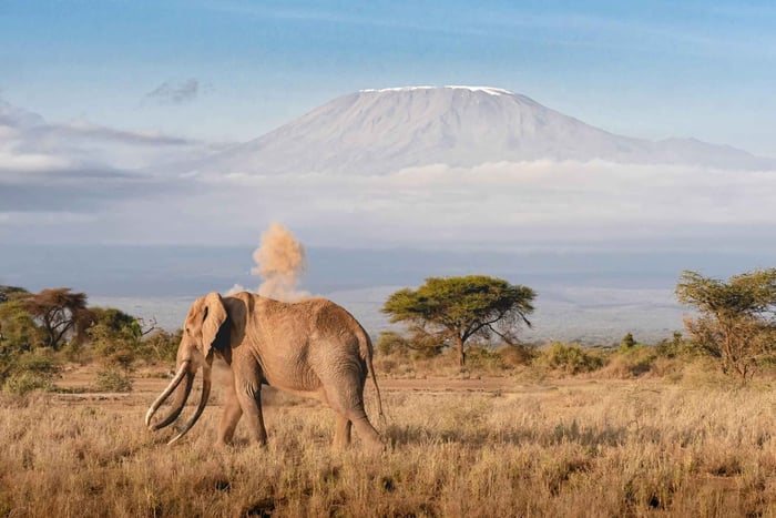 5 dagars safari i Kenya – Maasai Mara, Hell's Gate och Amboseli