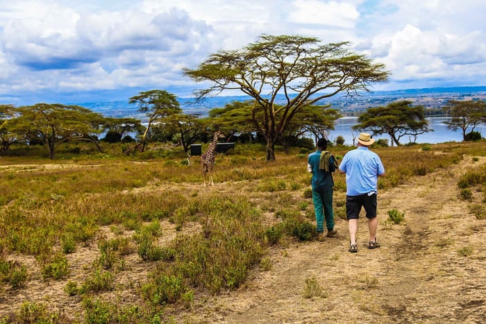 Crescent Island Walking safari& Lake Naivasha Boat Safari